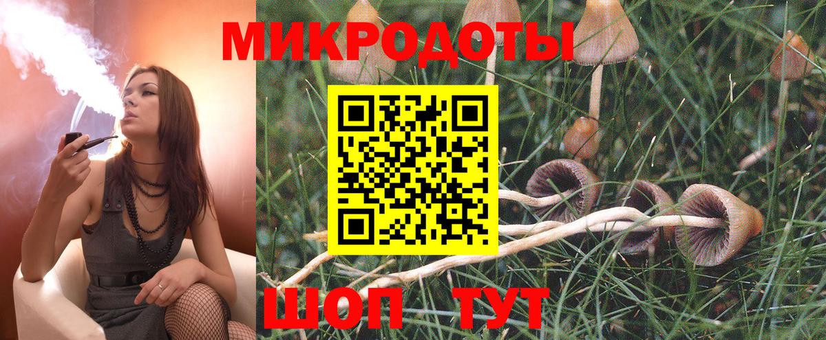 Галлюциногенные грибы Psilocybe  Псилоцибиновые грибы Cubensis  Вход с VPN  Барабинск 