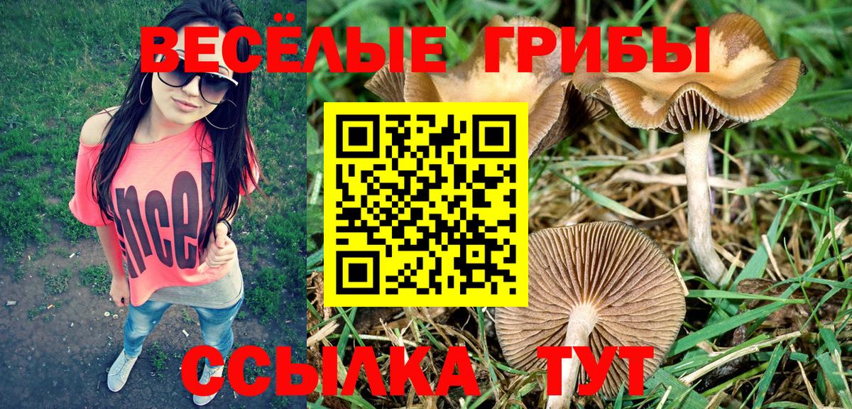 Псилоцибиновые грибы ЛСД Барабинск